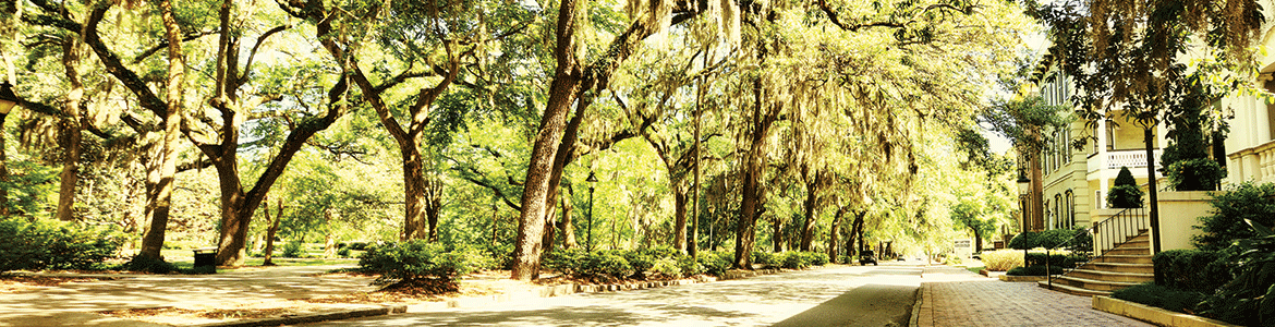 Savannah Historic District